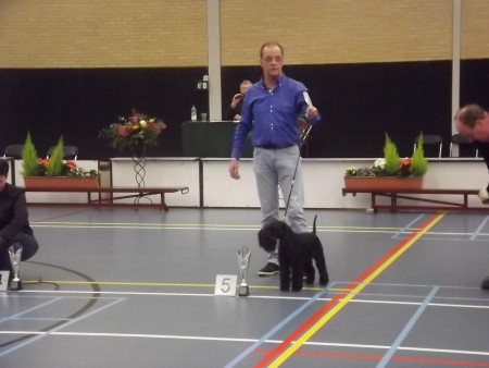 11-01-2014 Openshow KV Waalwijk 1U - BOB - 5 Best in Group